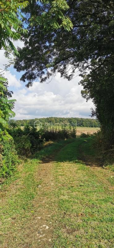 Vente Terrain à Ourouër 0 pièce