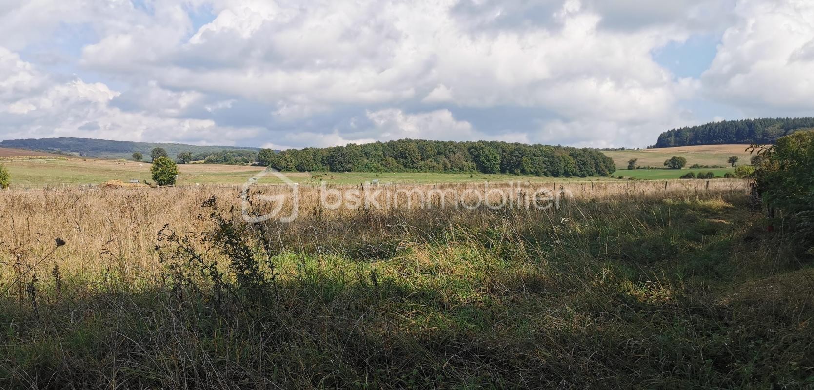 Vente Terrain à Ourouër 0 pièce