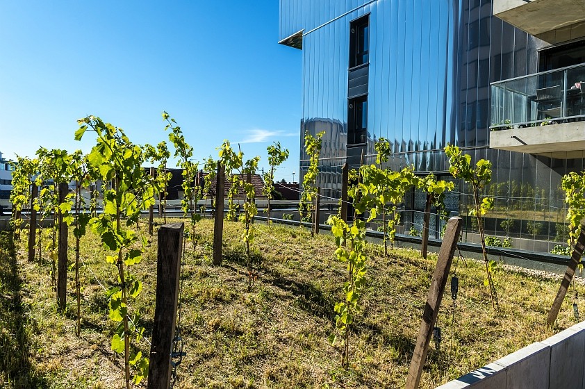 Vente Appartement à Dijon 2 pièces