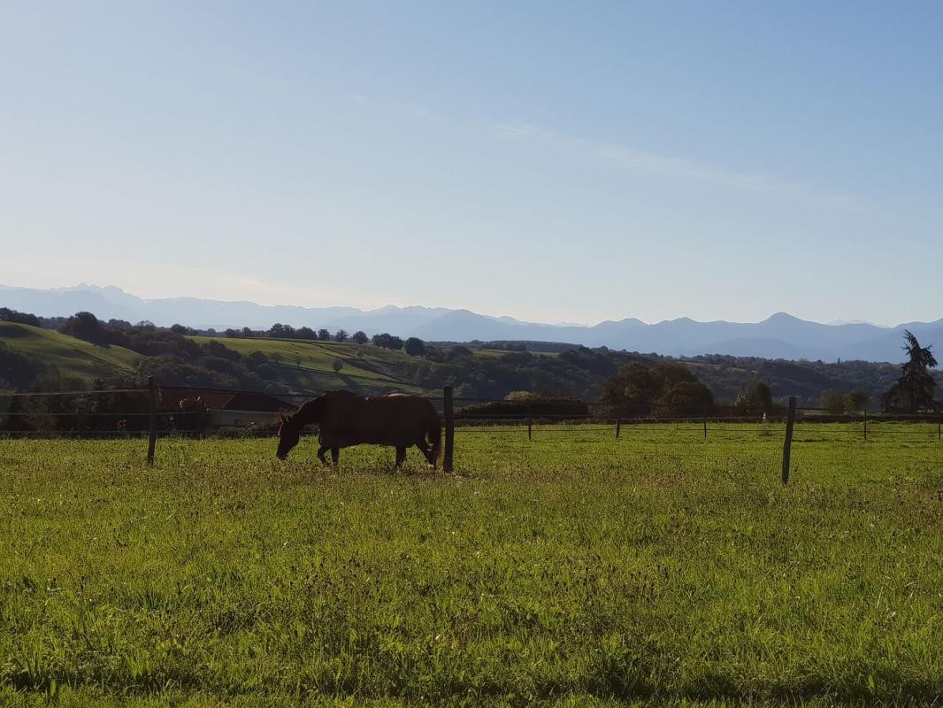 Vente Maison à Trie-sur-Baïse 6 pièces