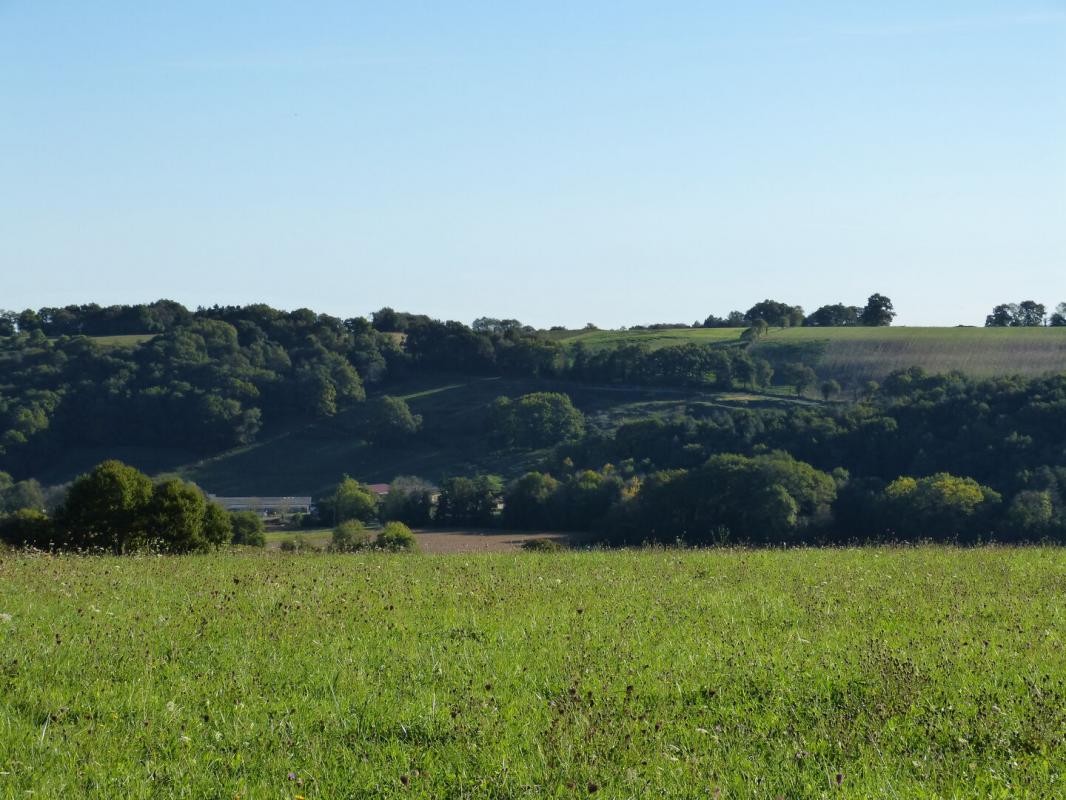 Vente Maison à Trie-sur-Baïse 6 pièces