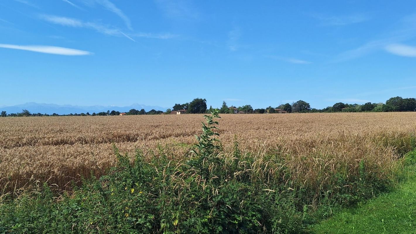 Vente Maison à Saint-Ost 5 pièces