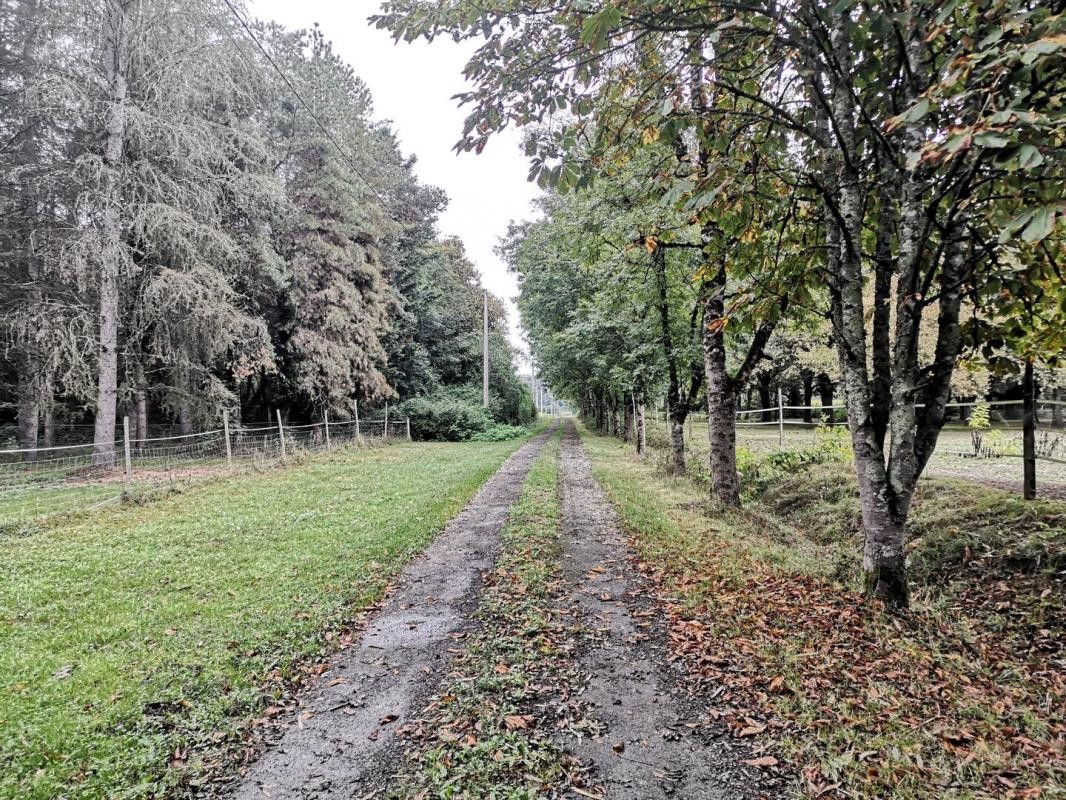 Vente Maison à Termes-d'Armagnac 12 pièces