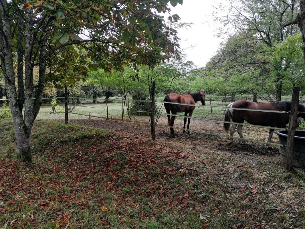 Vente Maison à Termes-d'Armagnac 12 pièces