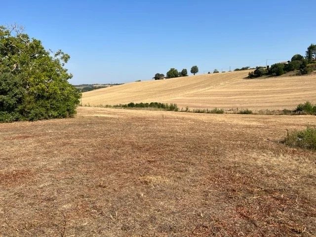 Vente Terrain à Gimont 0 pièce