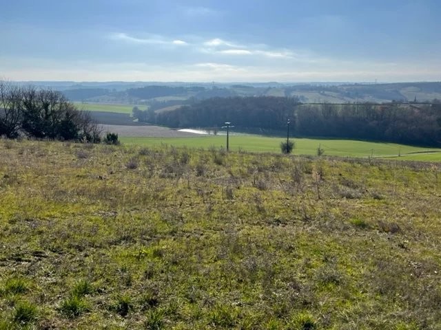 Vente Terrain à Lombez 0 pièce