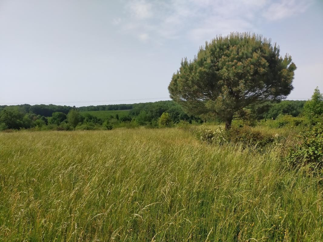 Vente Terrain à Condom 1 pièce