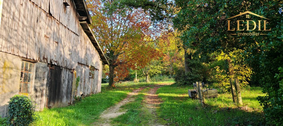 Vente Maison à Monségur 5 pièces