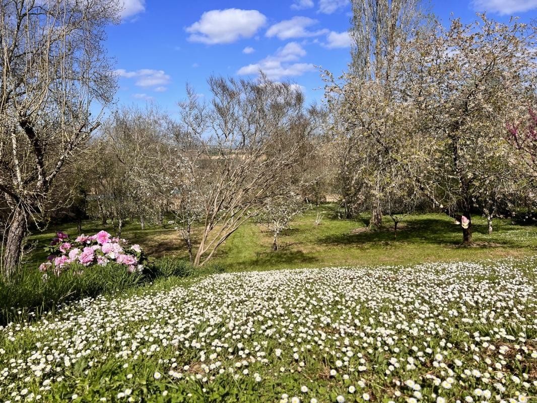 Vente Maison à Lectoure 9 pièces