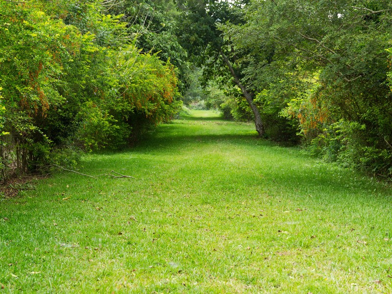 Vente Terrain à Martillac 0 pièce