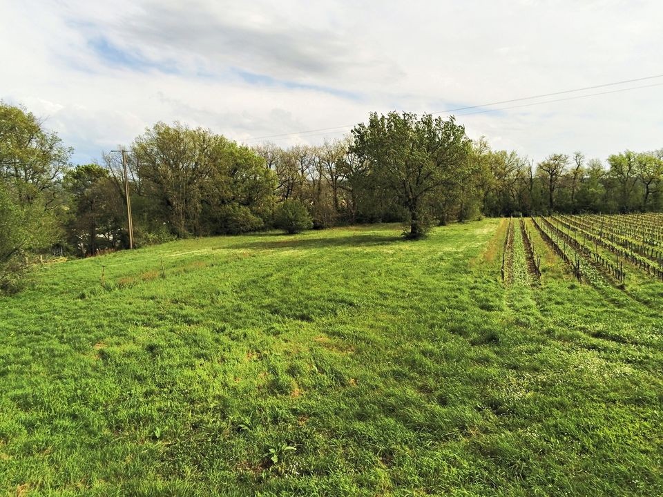 Vente Maison à Castillon-la-Bataille 5 pièces