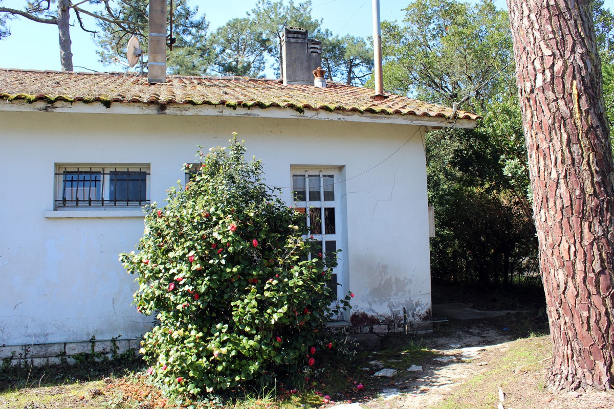 Vente Maison à Lège-Cap-Ferret 4 pièces