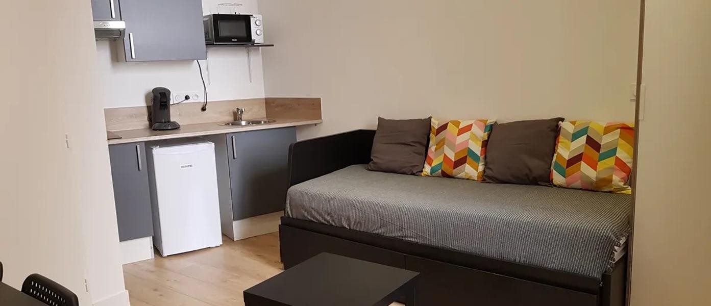 Location Appartement à Lyon 1 pièce