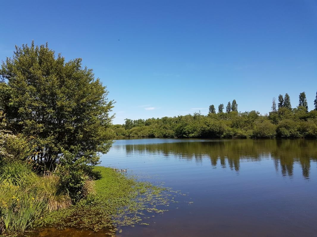 Vente Terrain à Mimizan 0 pièce