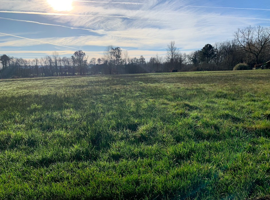 Vente Terrain à Gauriaguet 0 pièce