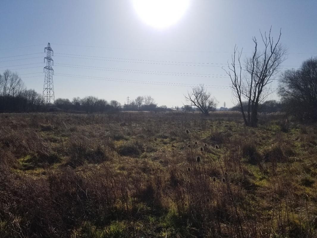 Vente Terrain à Bruges 0 pièce