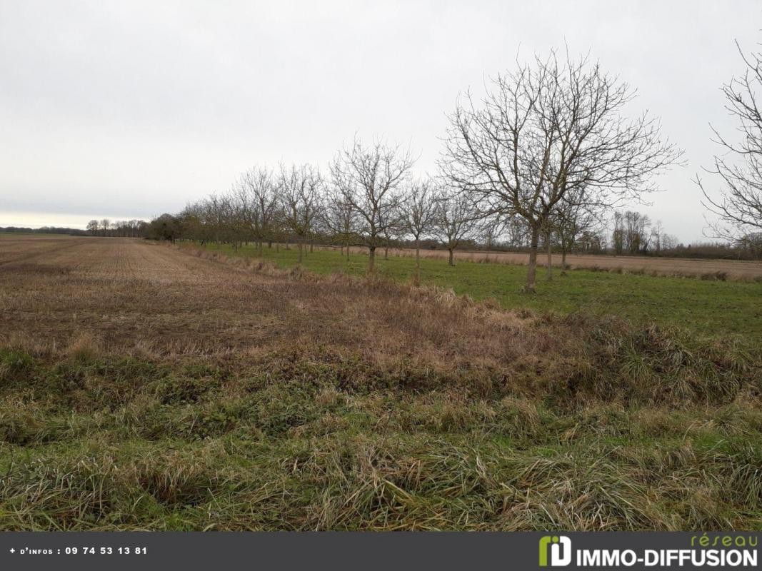 Vente Terrain à Montaulin 0 pièce