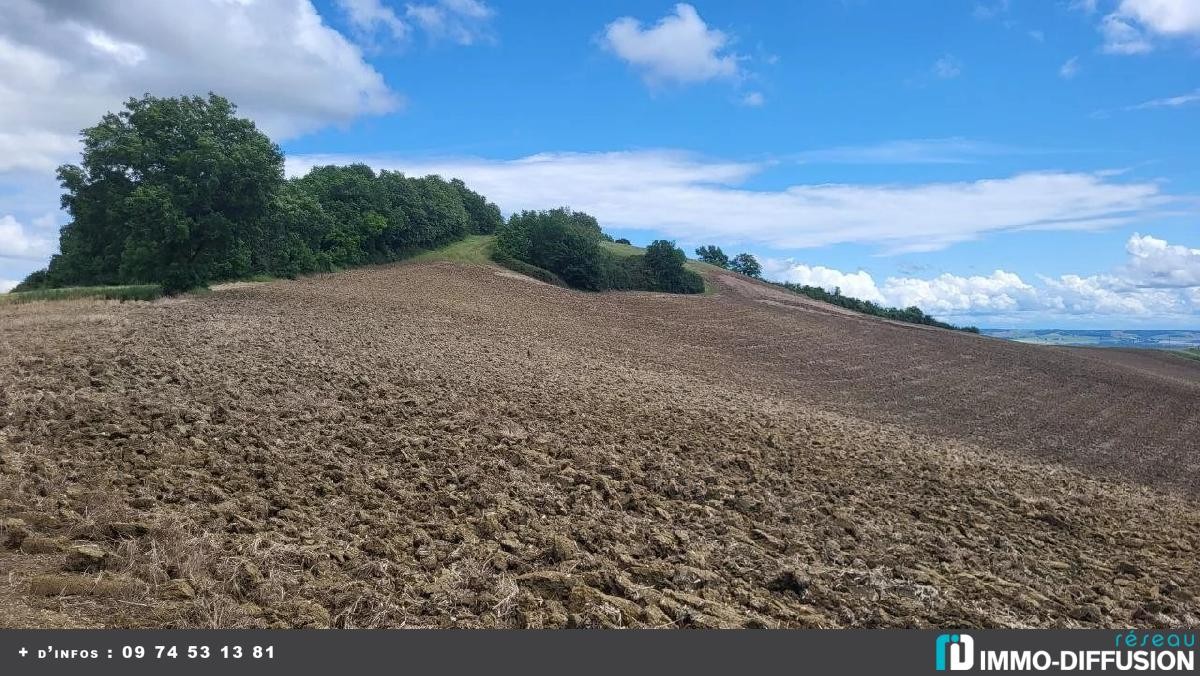 Vente Terrain à Beaumont-de-Lomagne 0 pièce