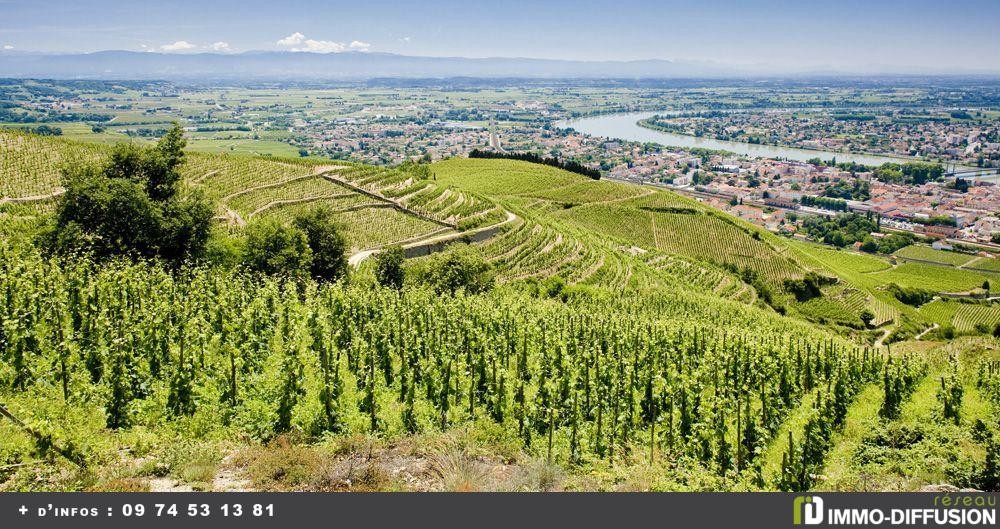 Vente Terrain à Crozes-Hermitage 0 pièce