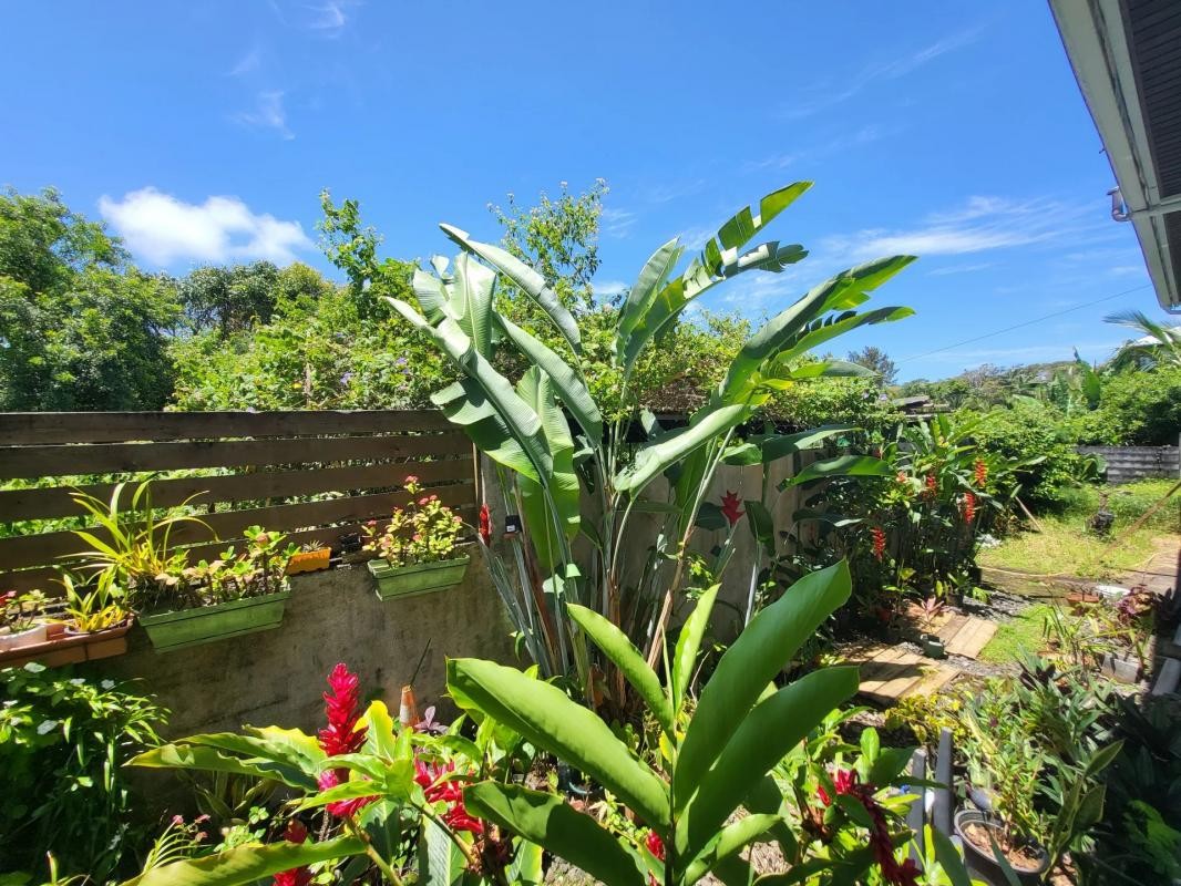 Vente Maison à Saint-Philippe 7 pièces