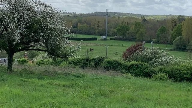 Vente Terrain à Civray-de-Touraine 0 pièce