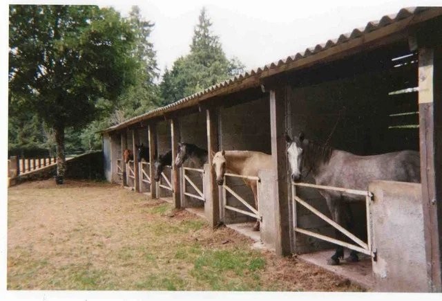 Vente Maison à le Soulié 14 pièces