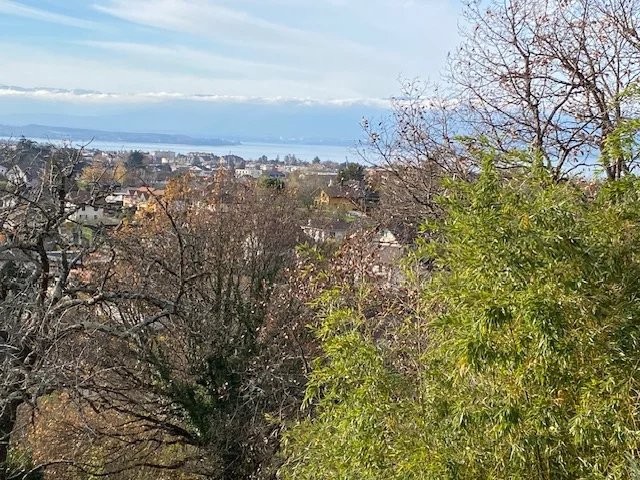 Vente Maison à Thonon-les-Bains 9 pièces