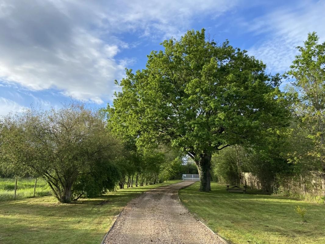 Vente Maison à la Ferté-Saint-Cyr 11 pièces