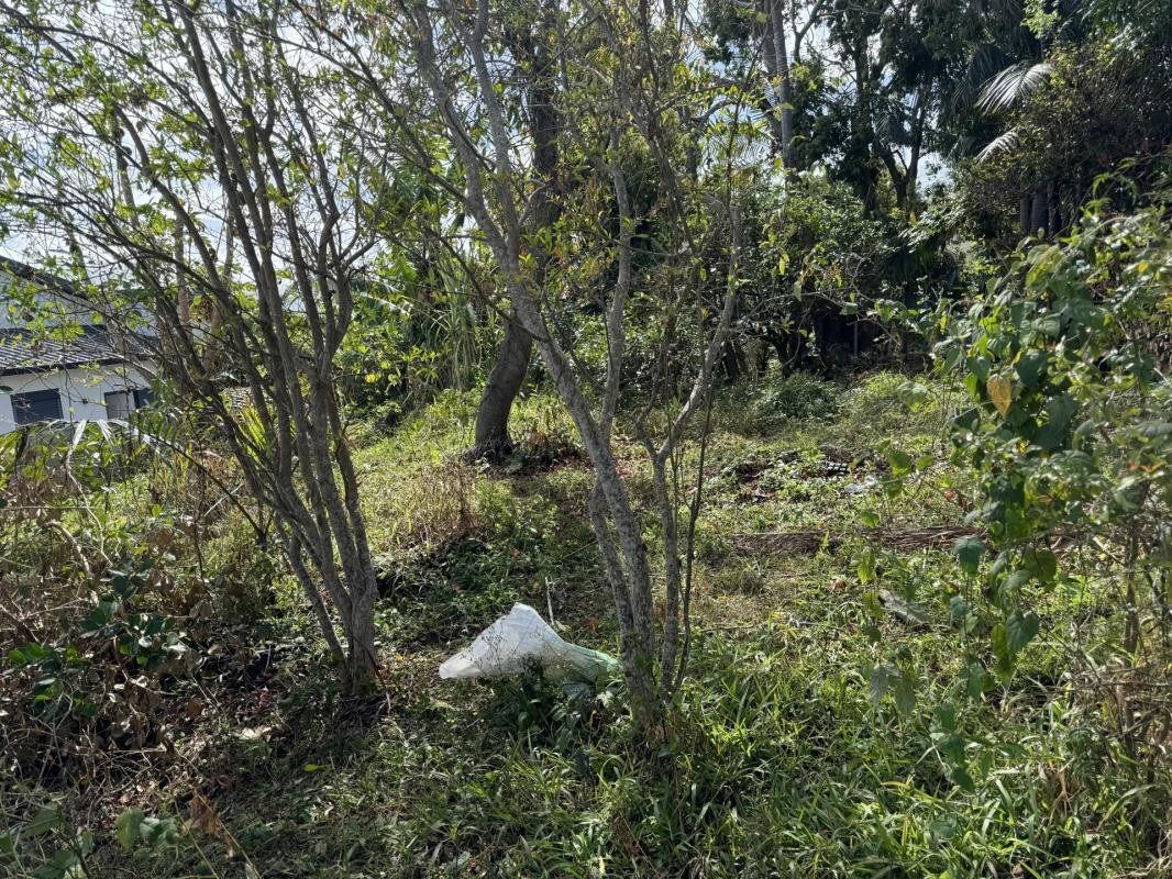 Vente Terrain à le Tampon 0 pièce