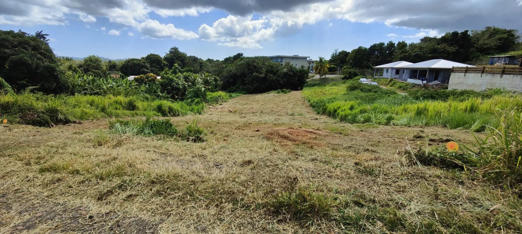 Vente Terrain à le Lamentin 0 pièce