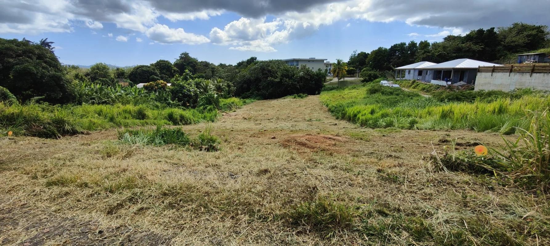 Vente Terrain à le Lamentin 0 pièce