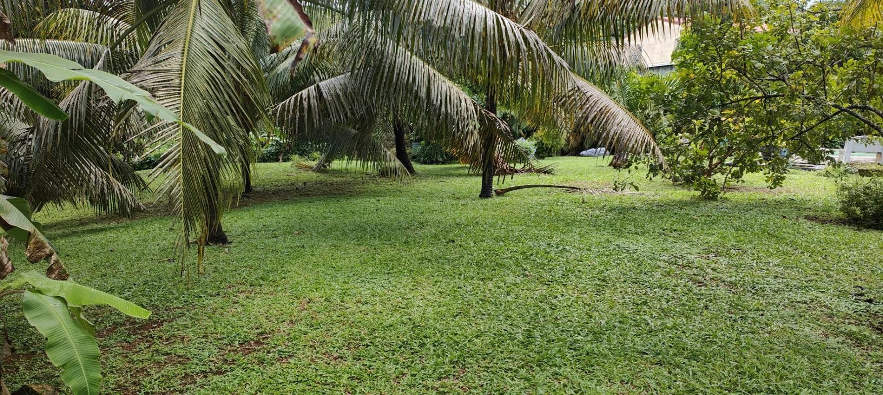 Vente Terrain à Saint-Joseph 0 pièce