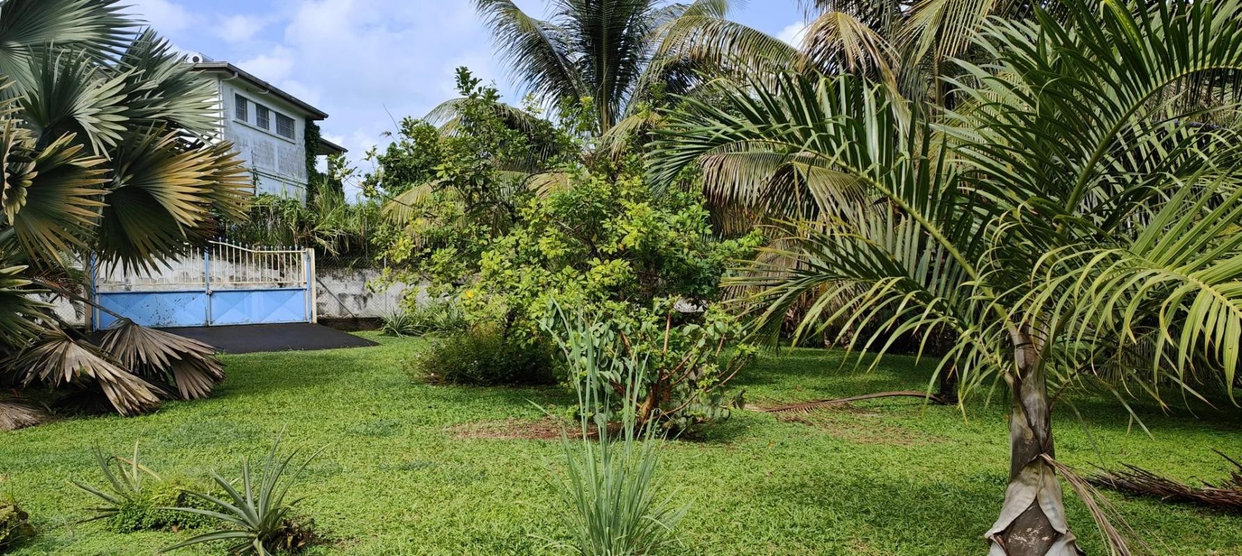 Vente Terrain à Saint-Joseph 0 pièce