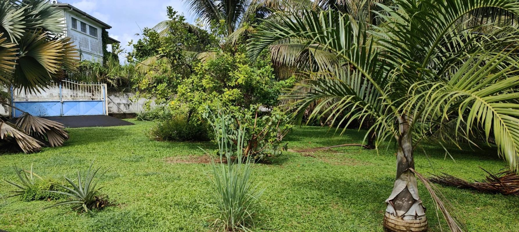 Vente Terrain à Saint-Joseph 0 pièce