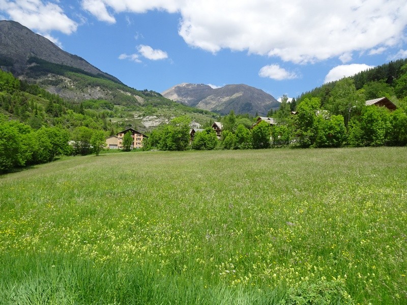 Vente Terrain à Allos 0 pièce