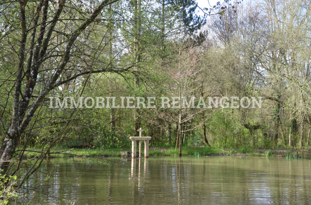 Vente Maison à Lamotte-Beuvron 8 pièces