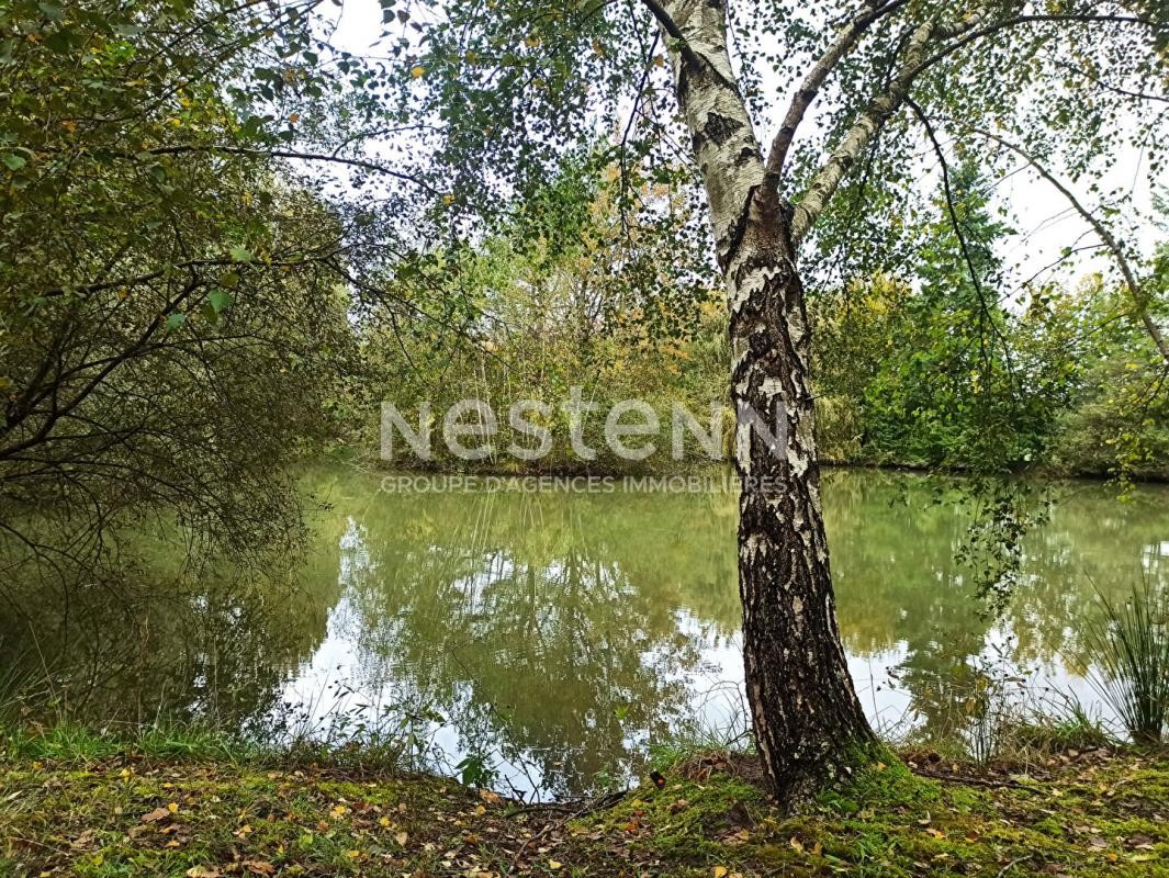 Vente Terrain à Contres 0 pièce