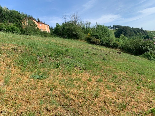 Vente Terrain à Cours-la-Ville 0 pièce