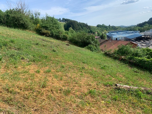 Vente Terrain à Cours-la-Ville 0 pièce