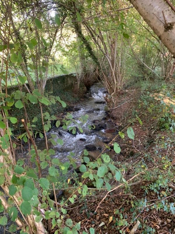 Vente Terrain à Cours-la-Ville 0 pièce