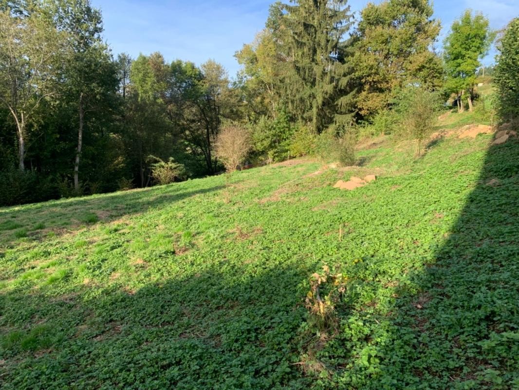 Vente Terrain à Cours-la-Ville 0 pièce