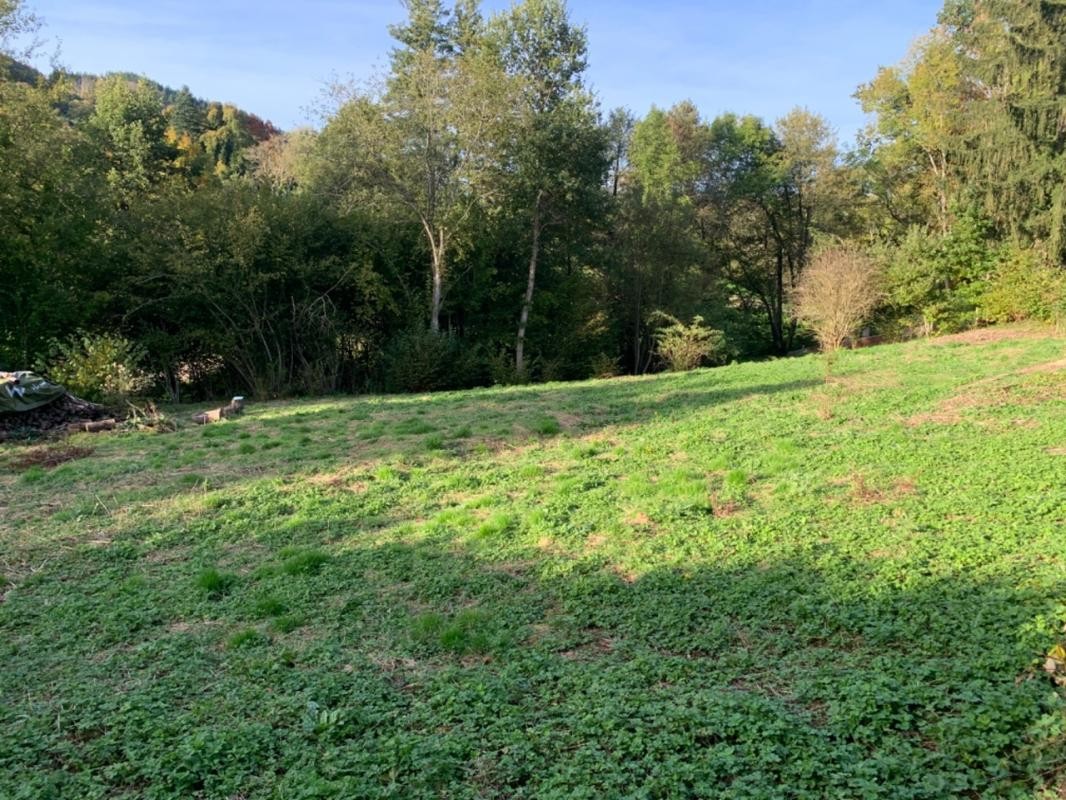 Vente Terrain à Cours-la-Ville 0 pièce