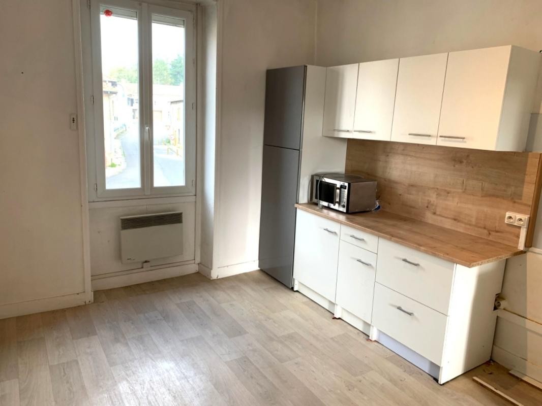 Location Appartement à Briennon 2 pièces