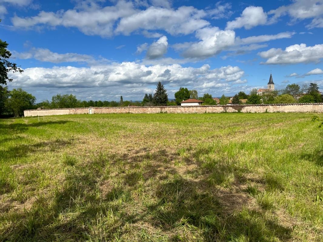 Vente Terrain à Boën-sur-Lignon 1 pièce