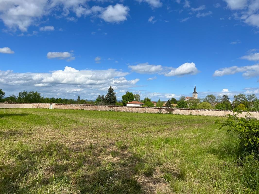 Vente Terrain à Boën-sur-Lignon 1 pièce