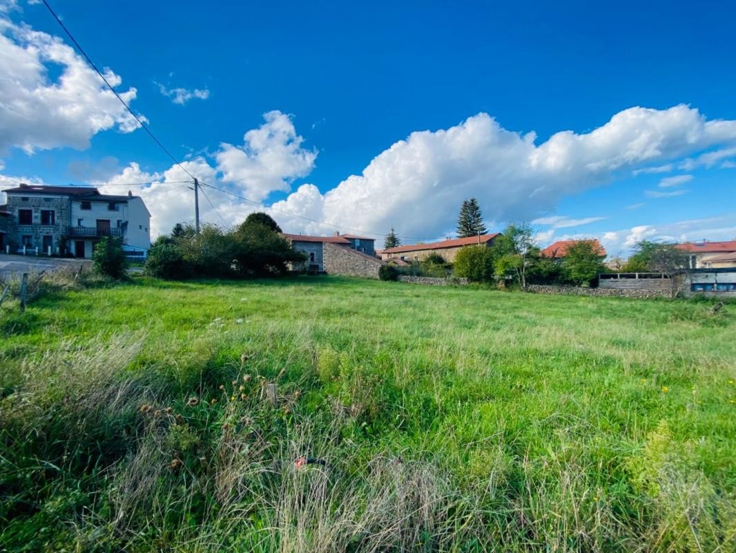 Vente Terrain à Monistrol-sur-Loire 0 pièce