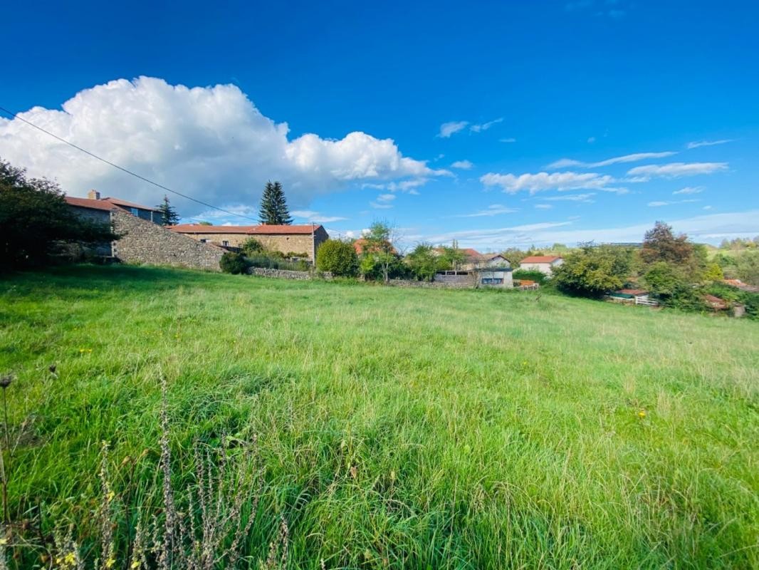 Vente Terrain à Monistrol-sur-Loire 0 pièce