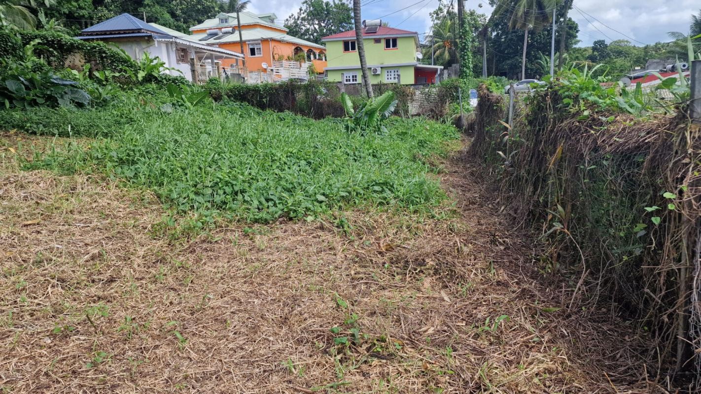 Vente Terrain à Lamentin 0 pièce