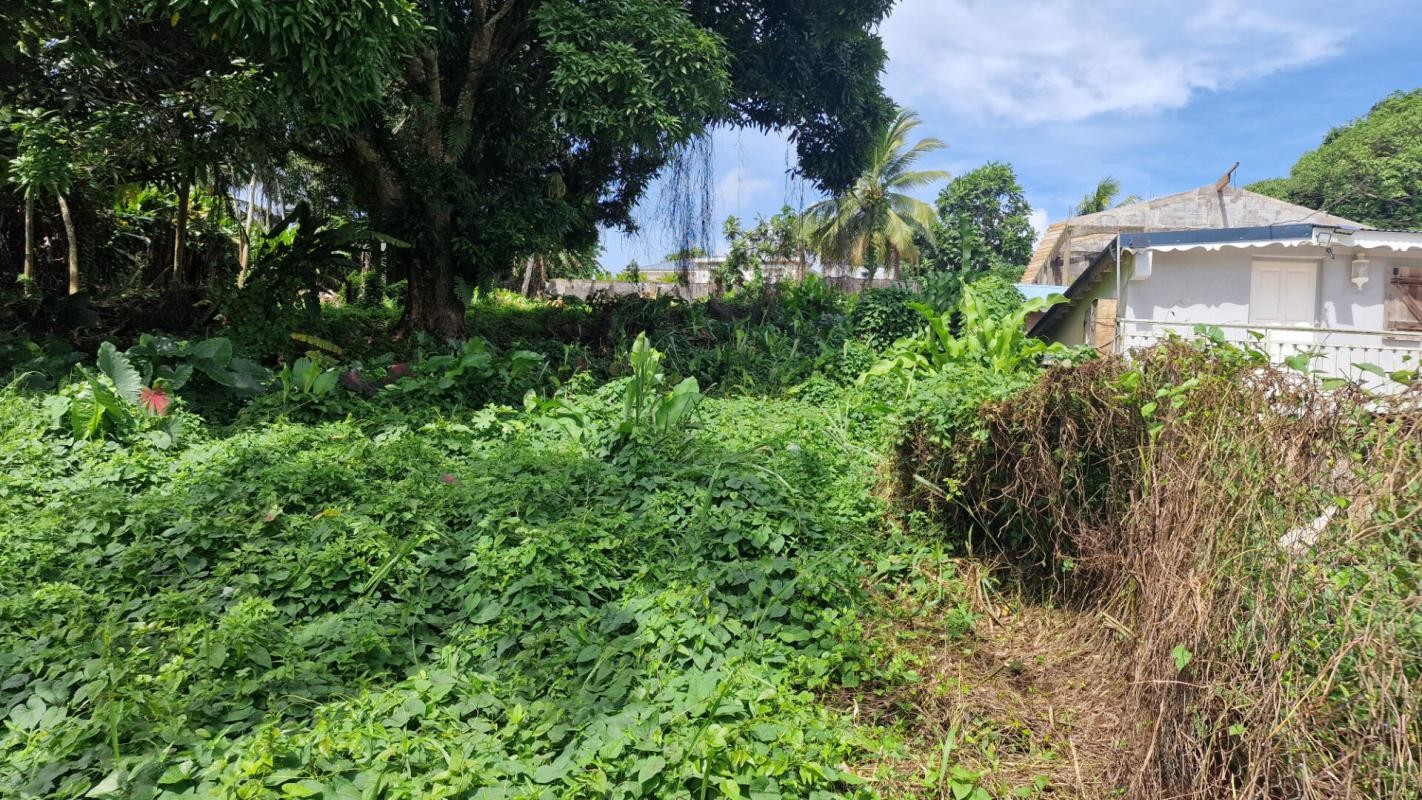 Vente Terrain à Lamentin 0 pièce