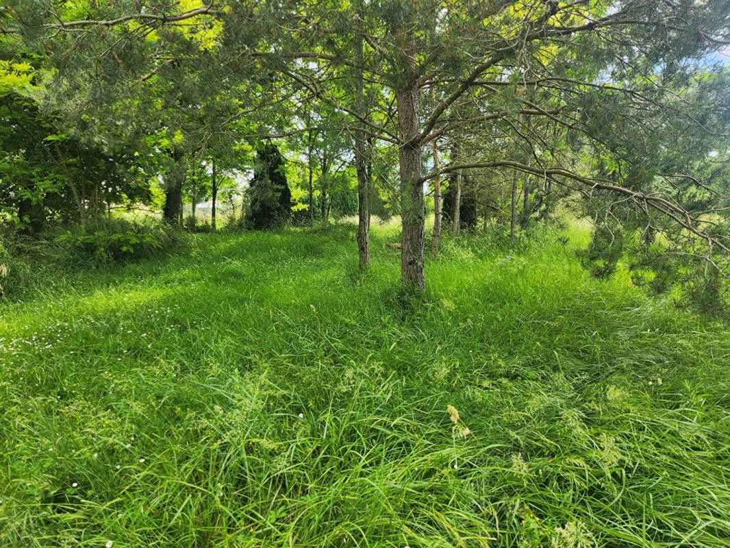 Vente Terrain à Azay-le-Rideau 0 pièce